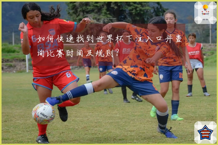 如何快速找到世界杯下注入口并查询比赛时间及规则？