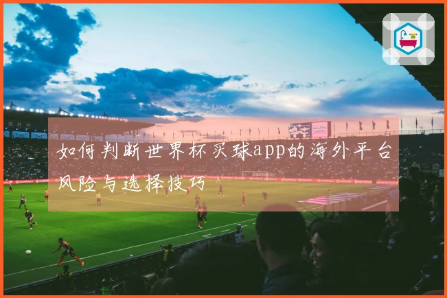 如何判断世界杯买球app的海外平台风险与选择技巧