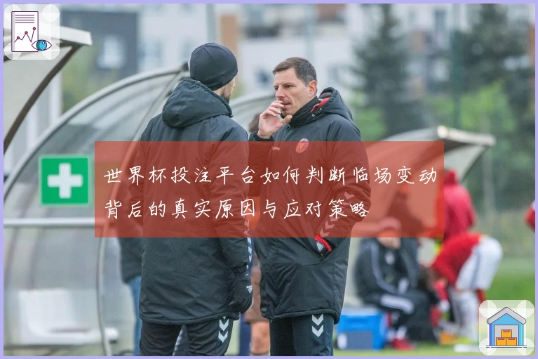 世界杯投注平台如何判断临场变动背后的真实原因与应对策略